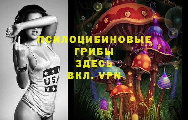 метадон Алексеевка
