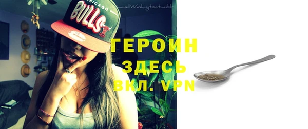 индика Осташков