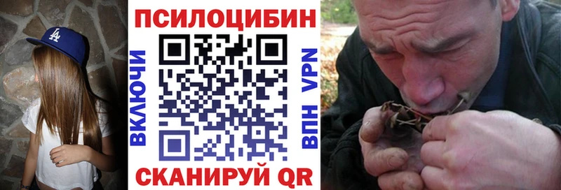 продажа наркотиков  Родники  Псилоцибиновые грибы Magic Shrooms 